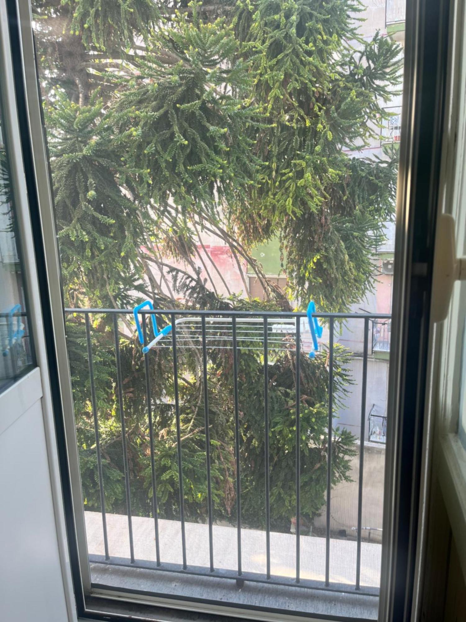 ארקולאנו Mediterraneo Apartment מראה חיצוני תמונה